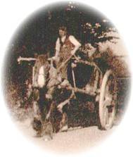 Memories of harvest time